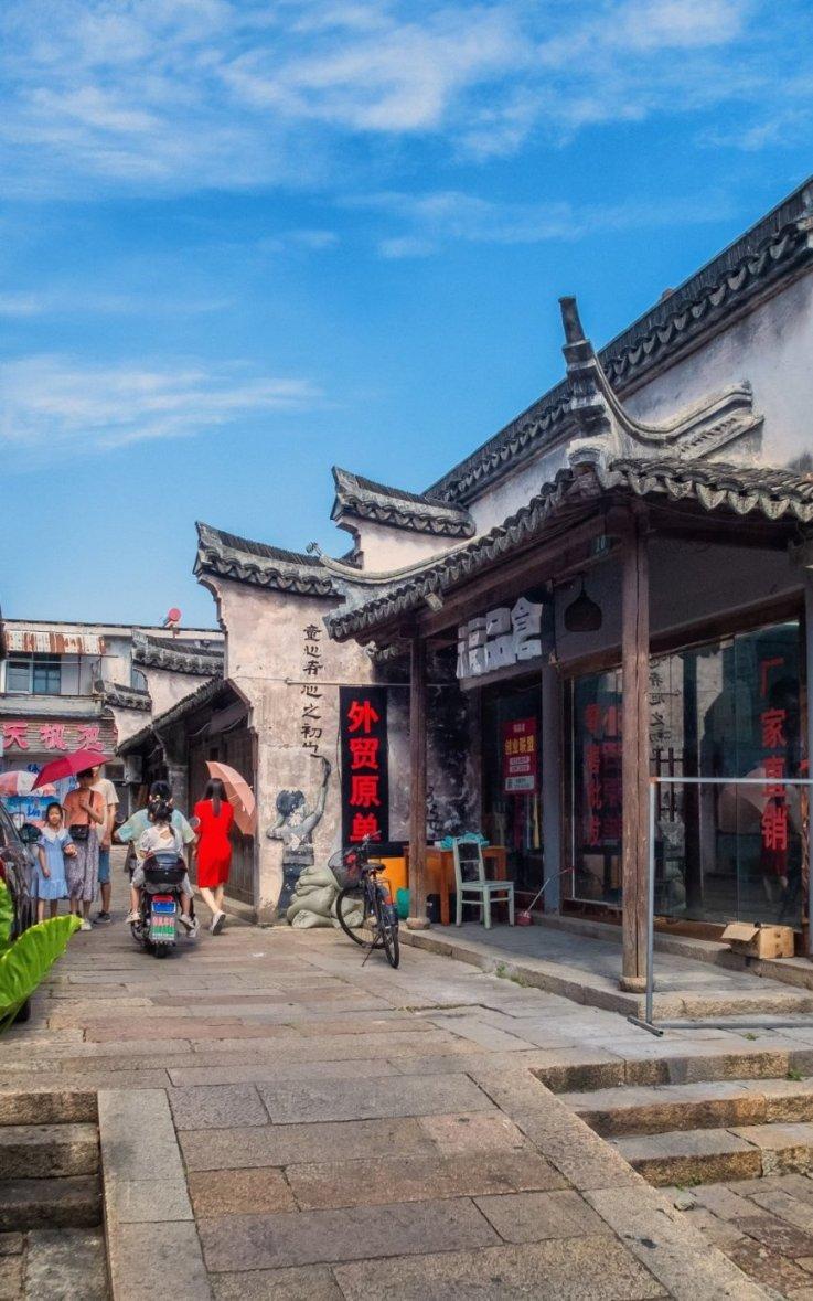 细胞分裂4
